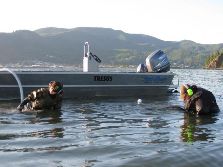 ODFW staff conducting research on estuary shellfish resources.