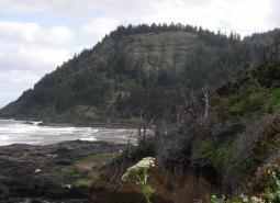 Yachats River area