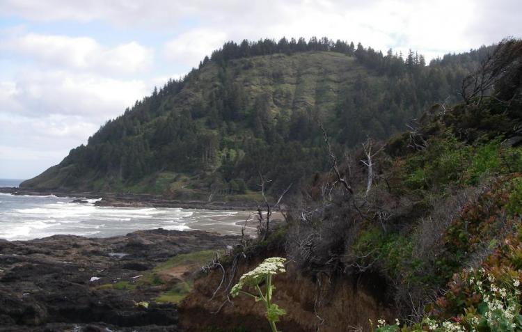 Yachats River area