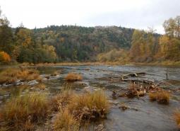 North Umpqua River area