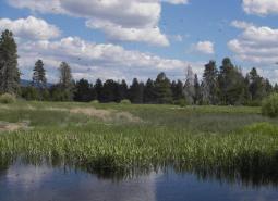 Forest and wetland habitats in the Klamath Marsh/Williamson River Conservation Opportunity Area, Oregon Conservation Strategy
