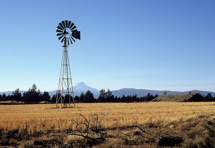 Farmland in central Oregon.
