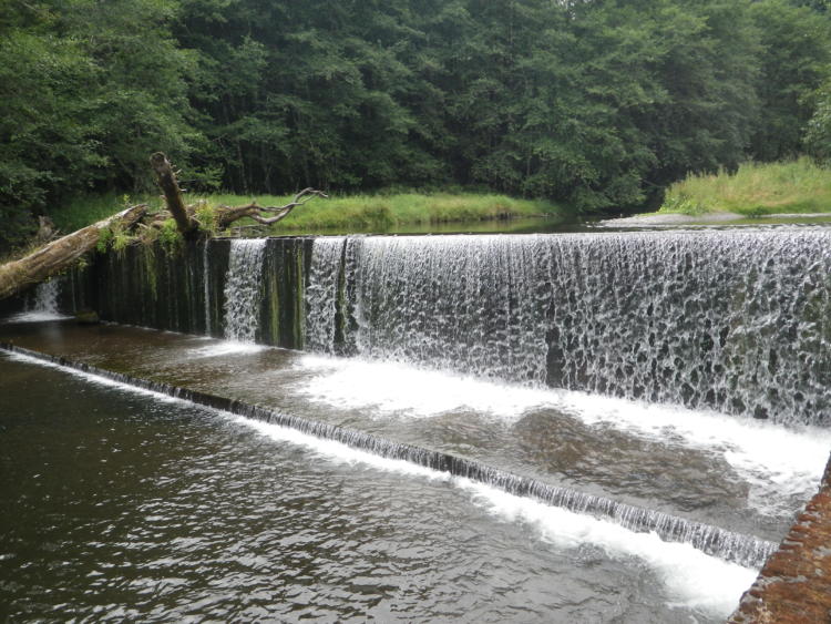 The East Fork South Fork Trask River dam is the highest priority fish passage barrier on the North Coast on the ODFW Passage Priority List. The dam is scheduled for removal in 2016.