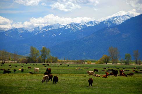 Farmland in Union County.