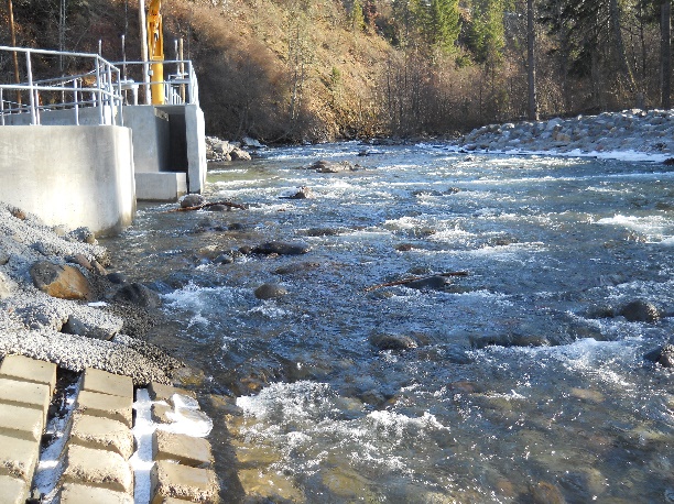 February 2014. The entrance to the fish ladder is on the left. The Obermeyer weir is lowered during the winter, making the river freely passable to fish.