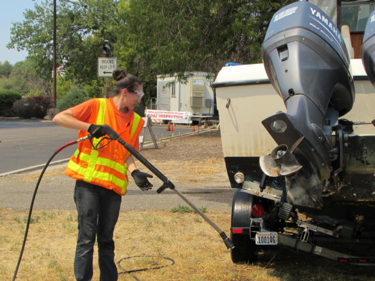 ODFW Watercraft Inspection Team decontaminating a boat with aquatic invasive species. 