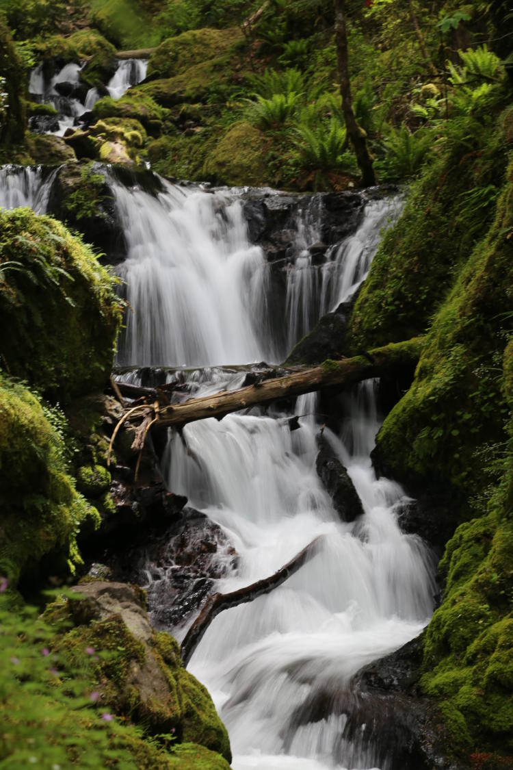 Waterfall in western Oregon.