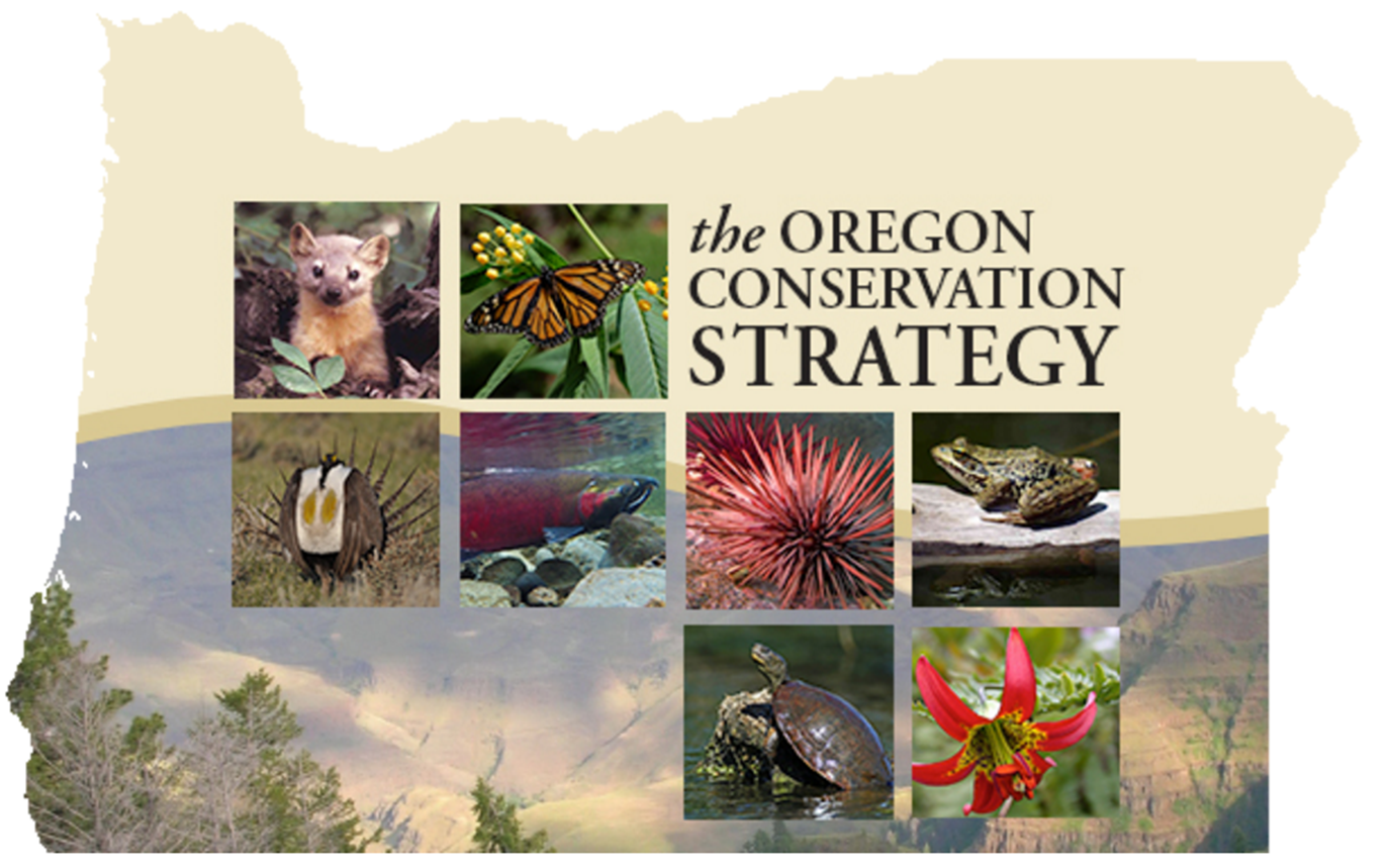 Cover for the Oregon Conservation Strategy