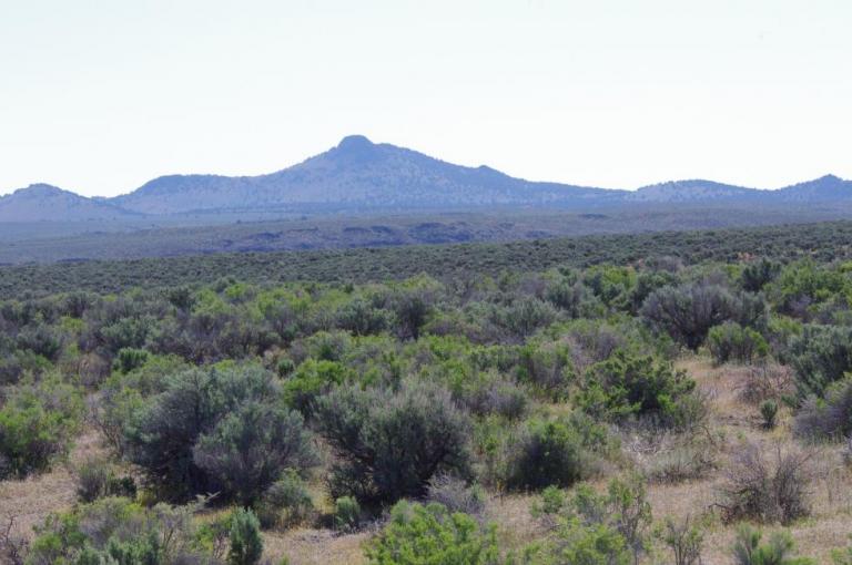 Sagebrush Habitats Oregon Conservation Strategy