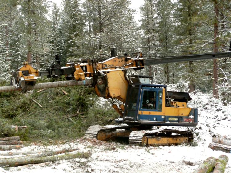The Knox Stewardship Project worked to remove small trees and brush to reduce hazardous fuels on over 6,500 acres on the Malheur National Forest. 