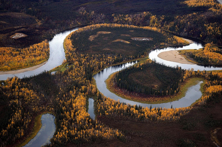 Oxbows provide critical habitat for fish and wildlife. 